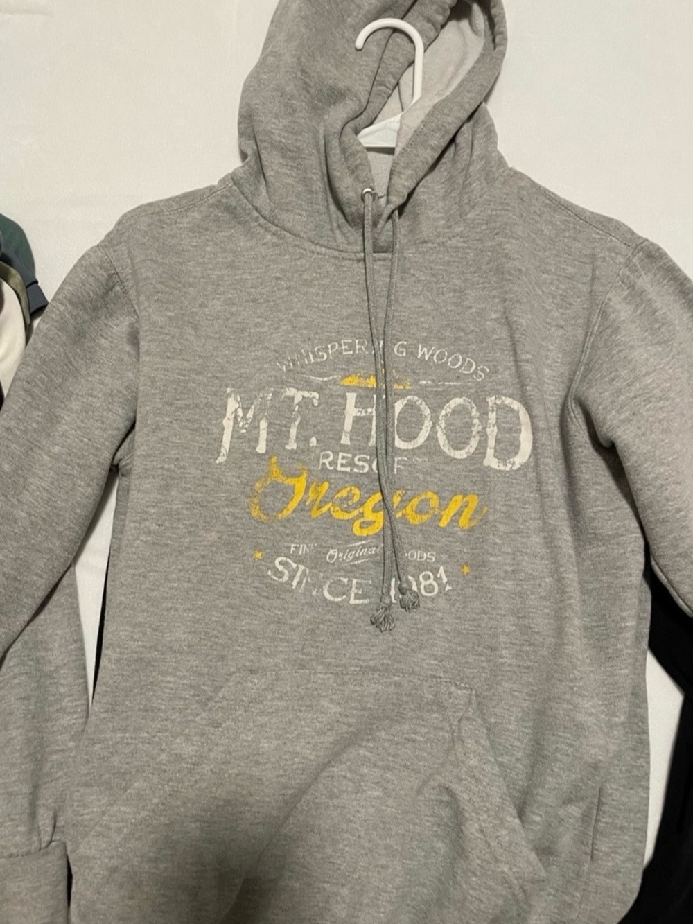 Mt Hood Resort Oregon Gray sweatshirt